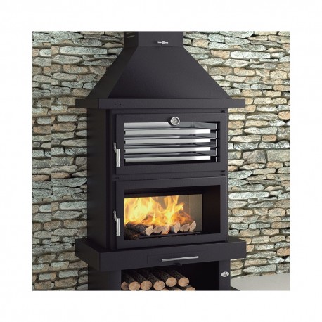 Chimenea de leña frontal con horno doble combustión FM C-200-H